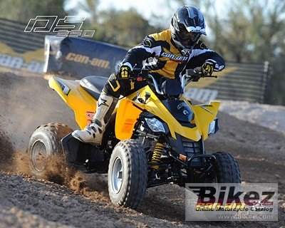2009 Can-Am DS 250 photo